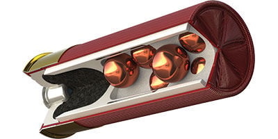 Buckshot with FLITECONTROL Wad rendering